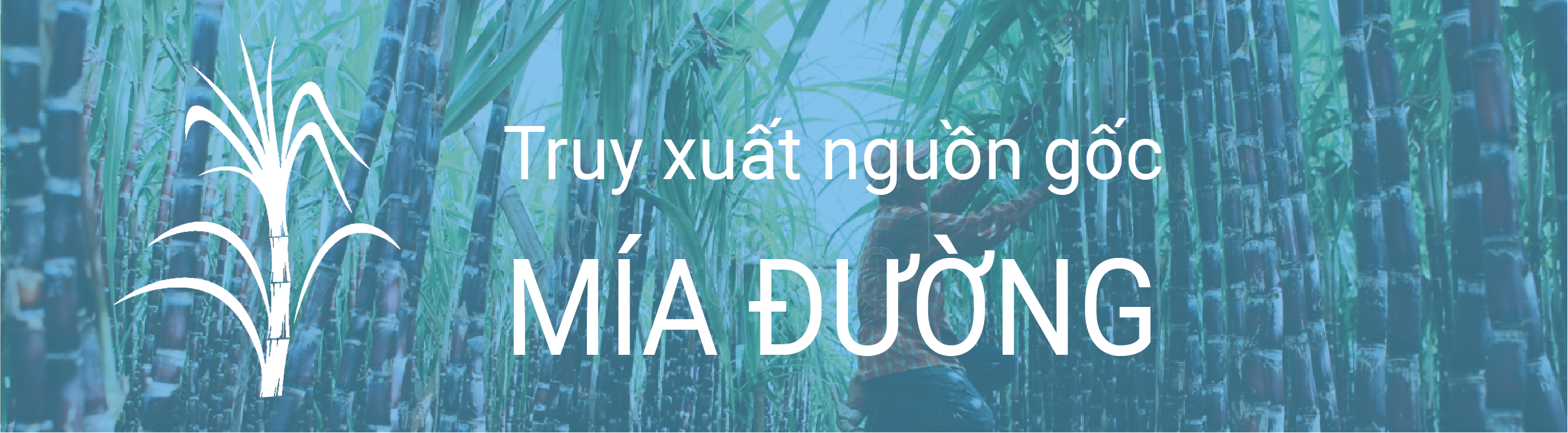 Diêm nghiệp