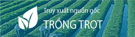 Trồng trọt