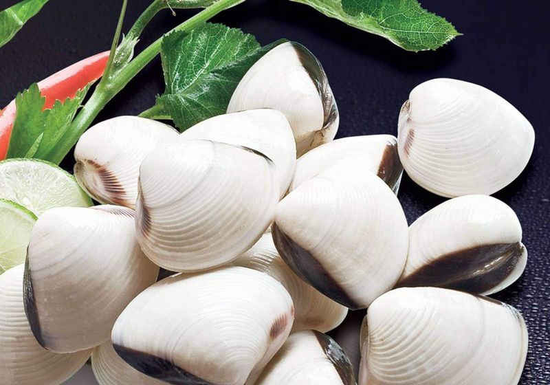 Ngao trắng( nghêu)
