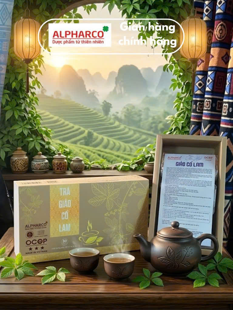trà giảo cổ lam