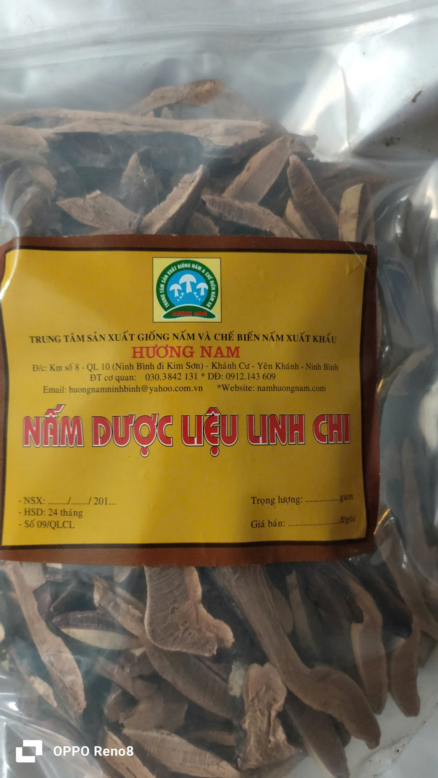 Nấm linh chi