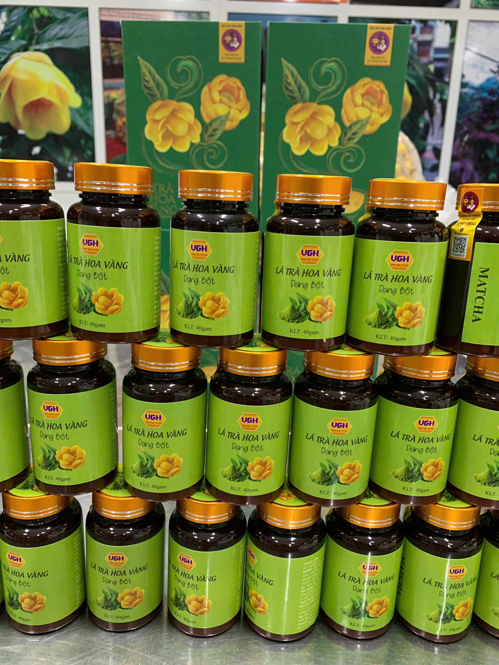 Trà hoa vàng dạng Bột mịn Matcha (Lá và Hoa)  40gr