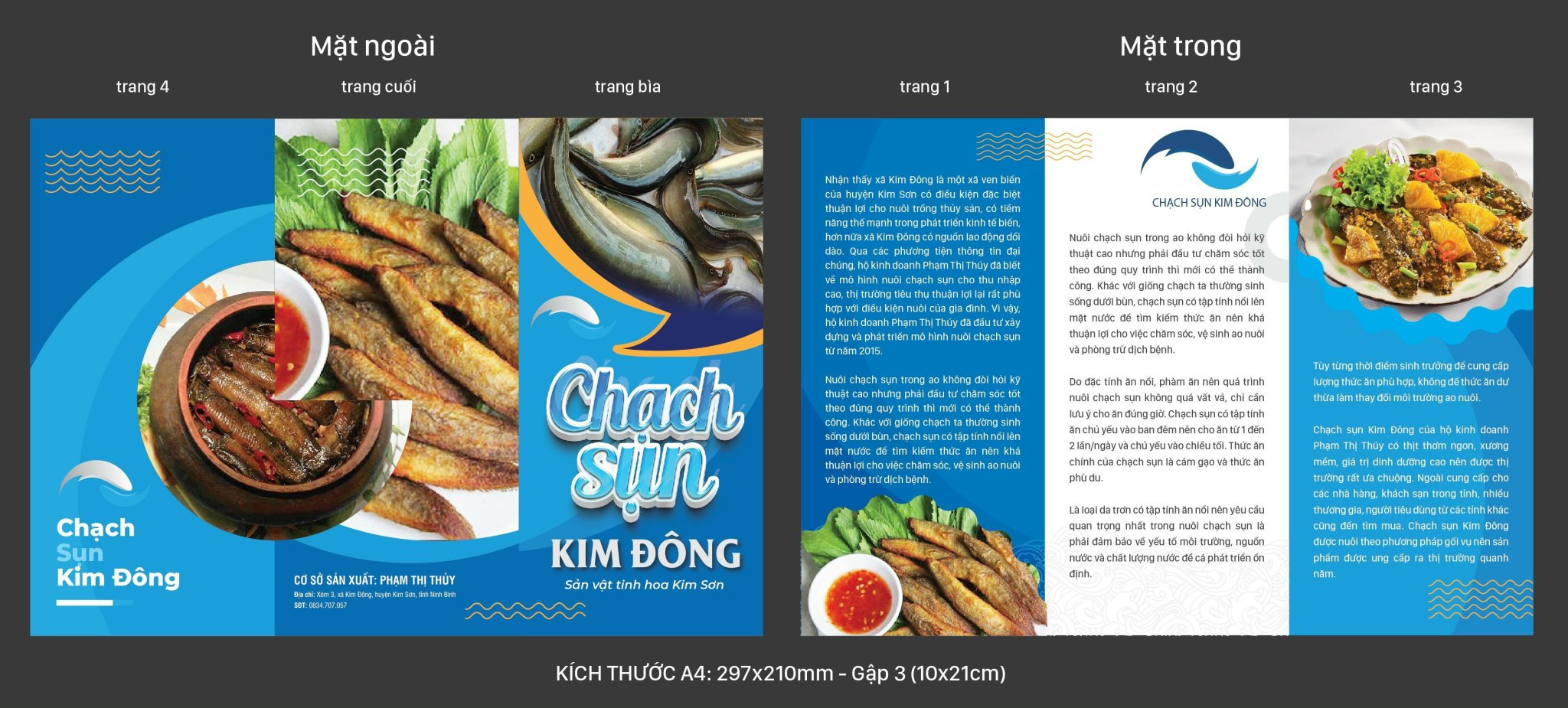 Chạch sụn Kim Đông