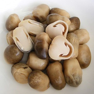 Nấm rơm tươi