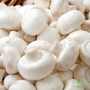 Nấm mỡ tươi