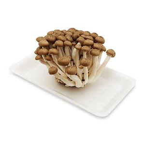 Nấm sò yến tươi