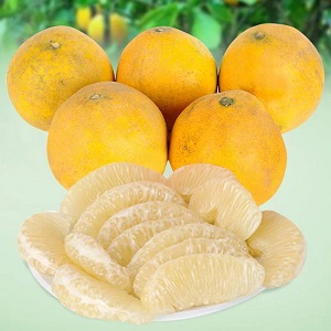 Bưởi diễn
