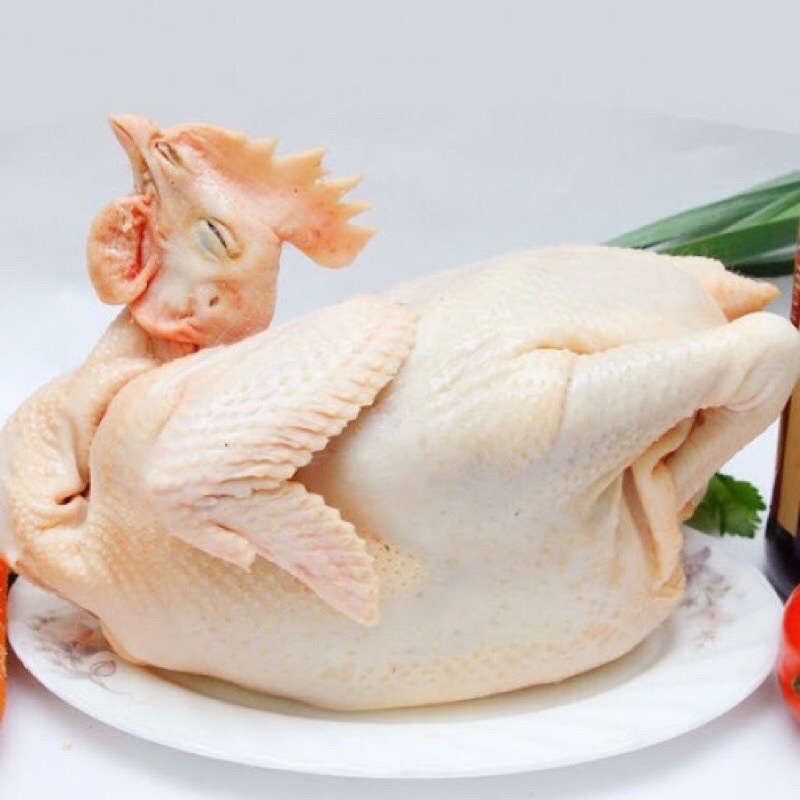 thịt gà