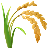 Lúa chất lượng 