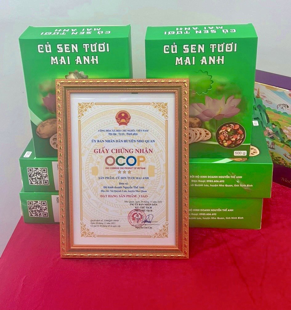 củ sen tươi Mai Anh
